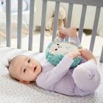 Fisher-Price usínáček ježek – Sleviste.cz