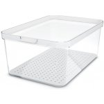 Rotho CAUMA RT1053801100 Dóza na potraviny organizér do lednice 4,65 l – Zboží Dáma