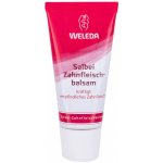 Weleda šalvějový balzám na dásně 30 ml – Zboží Mobilmania