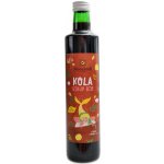 Sonnentor Kola sirup bio 0,5 l – Hledejceny.cz