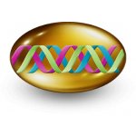 Cemio Kamzík 60 kapslí – Zbozi.Blesk.cz