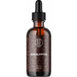 BrainMax Pure Eukalyptus tinktura 100 ml – Hledejceny.cz