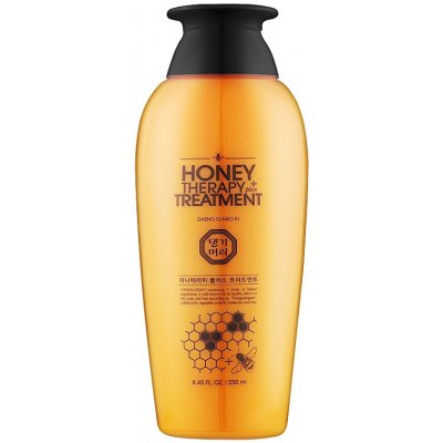 DAENG GI MEO RI Professional Honey Therapy Plus Treatment vyživující vlasová péče s extraktem medu 250 ml – Hledejceny.cz