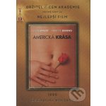 Americká krása DVD – Hledejceny.cz