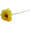 Květina Gerbera žlutá X5786-02