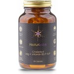NaturLabs hořčík chelátový + vitamín B6 90 kapslí – Hledejceny.cz