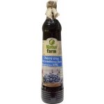 NaturFarm Sirup borůvka 33% 0,7 l – Zbozi.Blesk.cz