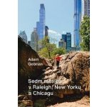 Sedm měsíců v Raleigh, New Yorku a Chicagu - Adam Gebrian – Hledejceny.cz