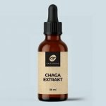 Dr. Fleming Chaga tinktura 30 ml – Hledejceny.cz