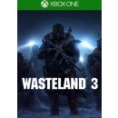 Hry na Xbox One Wasteland 3