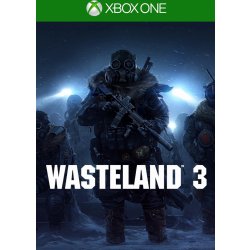 Wasteland 3