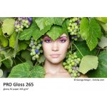 FOMEI FomeiJet PRO Gloss, 10x15, 20 listů, 265 g/m2 – Zboží Živě