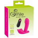 Sweet Smile Remote Controlled Panty Vibrator – Zboží Dáma