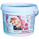 Gelapony Biotin H 0,6 kg – Hledejceny.cz