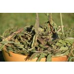 Grünhopper Sušené listy pampelišky 100 g – Zboží Dáma