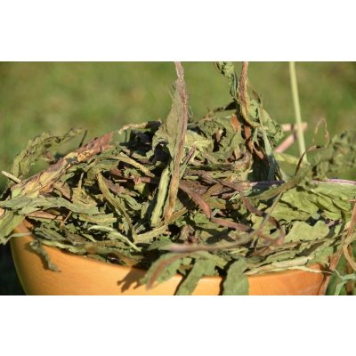 Grünhopper Sušené listy pampelišky 100 g – Zboží Dáma