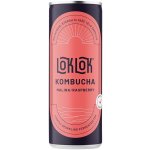 Loklok Kombucha malina 250 ml – Zboží Dáma