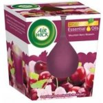 Air Wick Essential oils Višňový čaj 105 g – Zboží Dáma