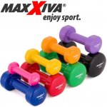 MAXXIVA Sada vinylových činek 2 x 2,5 kg – Zboží Mobilmania