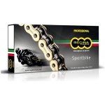 Regina Řetěz 525 ZRP 120 | Zboží Auto