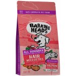 Barking Heads All Hounder Hair Necessities Salmon 12 kg – Hledejceny.cz