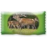 E‑myslivost Myslivecké žvýkačky 10 ks – Sleviste.cz