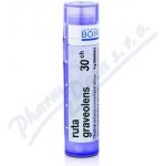 RUTA GRAVEOLENS POR 30CH GRA 4G – Hledejceny.cz