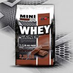 Vision Nutrition WHEY GAINER 2250 g – Hledejceny.cz