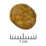 Royal Canin Veterinary Diet Cat Renal Feline 4 kg – Sleviste.cz