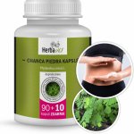Herbavis Chanca piedra kapsle 100 kapslí – Hledejceny.cz