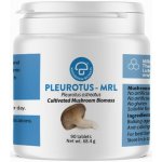 MRL Pleurotus 90 tablet – Hledejceny.cz