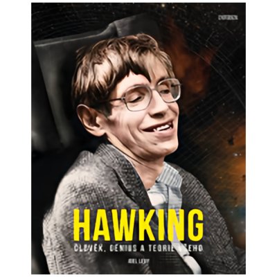 Hawking. Člověk, génius a teorie všeho - Joel Levy