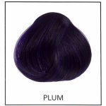 La Riché Directions 10 Plum 89 ml – Hledejceny.cz