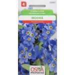 Semínka Pomněnka lesní modrá Myosotis sylvatica – Hledejceny.cz