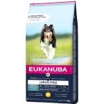 Eukanuba Labrador Retriever 12 kg – Hledejceny.cz