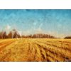 Tapety WEBLUX Fototapeta vliesová Impressionism oil painting on canvas nature landscape motifs wall art print. Countryside beauty. Village. Contemporary artwork for creating pos 270 x 200 cm