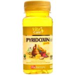 Pyridoxin Vitamin B6 60 tablet – Hledejceny.cz