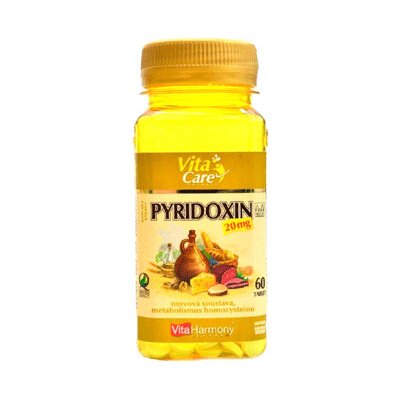 Pyridoxin Vitamin B6 60 tablet – Hledejceny.cz