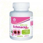 Galmed Echinacea forte 600 mg+vit.C+zinek 100 tablet – Hledejceny.cz