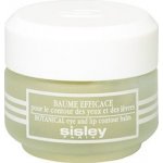 Sisley Sisleya Eye And Lip Contour Balm Péče o oční okolí 30 ml – Sleviste.cz