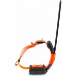 DogTrace X30T Short – Sleviste.cz