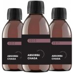 3× ABSORBii CHAGA lipozomální doplněk 200 ml – Hledejceny.cz