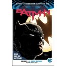 Batman 1 - Já jsem Gotham – Tom King