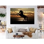 Nalepte.cz samolepka na zeď Silueta koně, rozměry 100 x 67 cm – Sleviste.cz