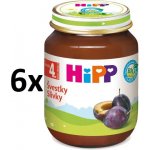 HiPP BIO Švestky 6 x 125 g – Sleviste.cz
