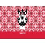 Herlitz Desky na číslice cute animals zebra – Zboží Dáma
