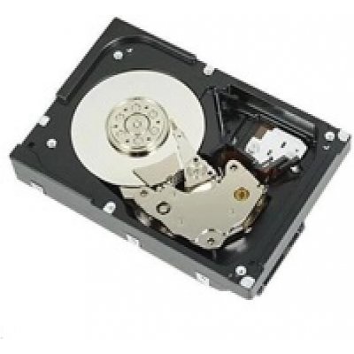 Dell 3.5" 1000 GB Serial ATA III 400-BGEB