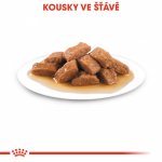 Royal Canin Medium Adult 10 x 140 g – Sleviste.cz