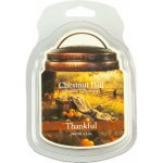 Chestnut Hill Candle Vonný Vosk Thankful 105 g – Hledejceny.cz