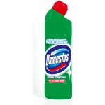Domestos 24h Pine Fresh 750 + tekutý desinfekční a čisticí prostředek 250 ml – Sleviste.cz